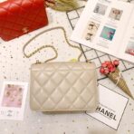 chanel-calf-leather-single-flap-bag-as8869-1.jpg