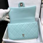 chanel-flap-bag-with-large-bi-color-chain-as1353-4.jpg