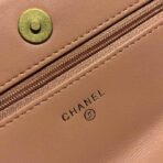 chanel-goatskin-quilted-19-woc-flap-bag-on-chain-422740-6.jpg
