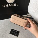 chanel-quilted-caviar-small-vanity-case-a93342-3.jpg